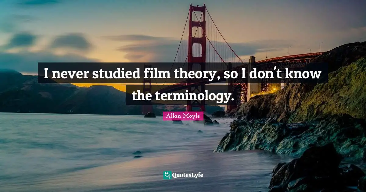 I never studied film theory, so I don't know the terminology.