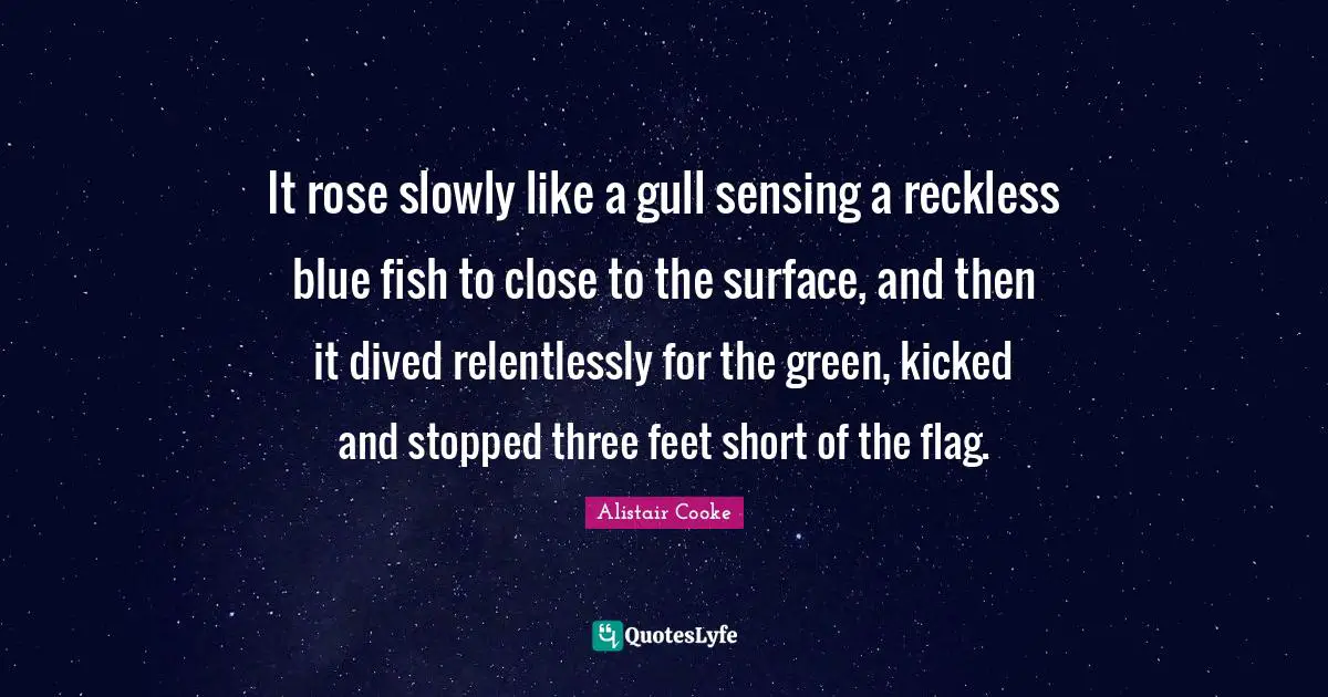Alistair Cooke Quotes: "It rose slowly like a gull sensing a reckless blue fish to close to the surface, and then it dived relentlessly for the green, kicked and stopped three feet short of the flag."