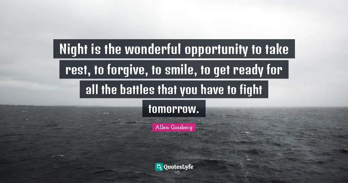 Night is the wonderful opportunity to take rest, to forgive, to smile, to get ready for all the battles that you have to fight tomorrow.