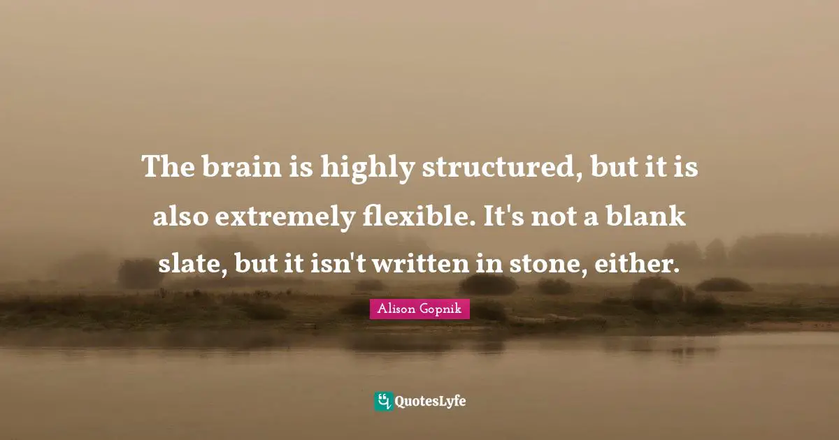 Blank Quotes: "The brain is highly structured, but it is also extremely flexible. It's not a blank slate, but it isn't written in stone, either."