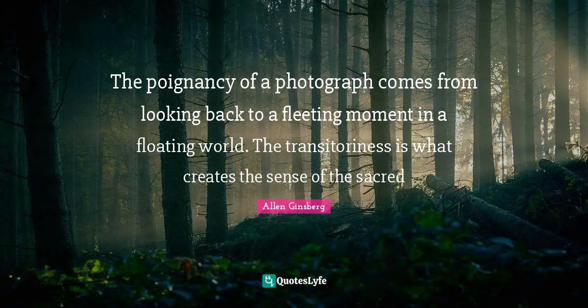 Sacred Quotes: "The poignancy of a photograph comes from looking back to a fleeting moment in a floating world. The transitoriness is what creates the sense of the sacred"