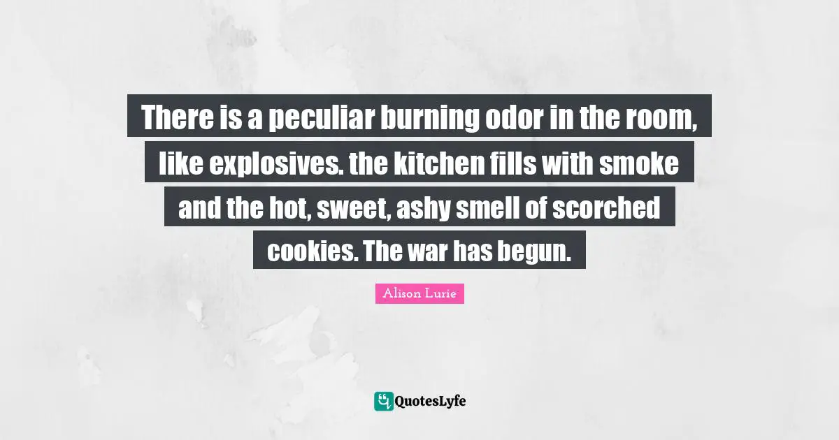 There is a peculiar burning odor in the room, like explosives. the kitchen fills with smoke and the hot, sweet, ashy smell of scorched cookies. The war has begun.