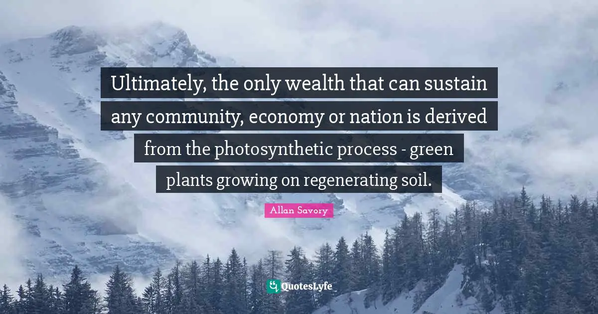 Ultimately, the only wealth that can sustain any community, economy or nation is derived from the photosynthetic process - green plants growing on regenerating soil.
