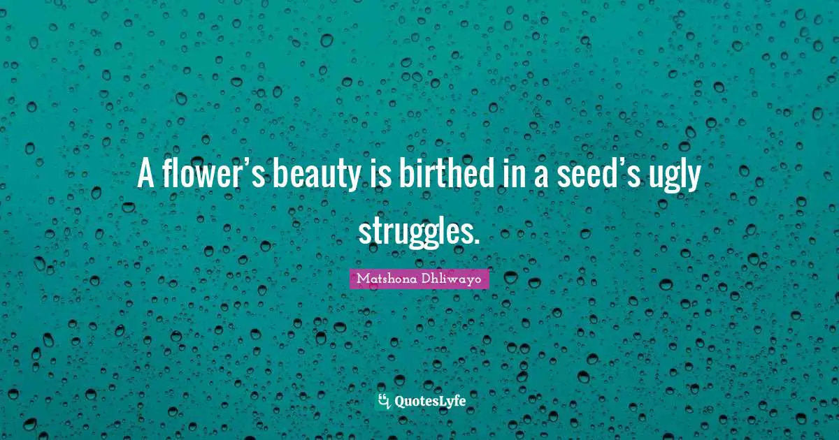 A flower’s beauty is birthed in a seed’s ugly struggles.