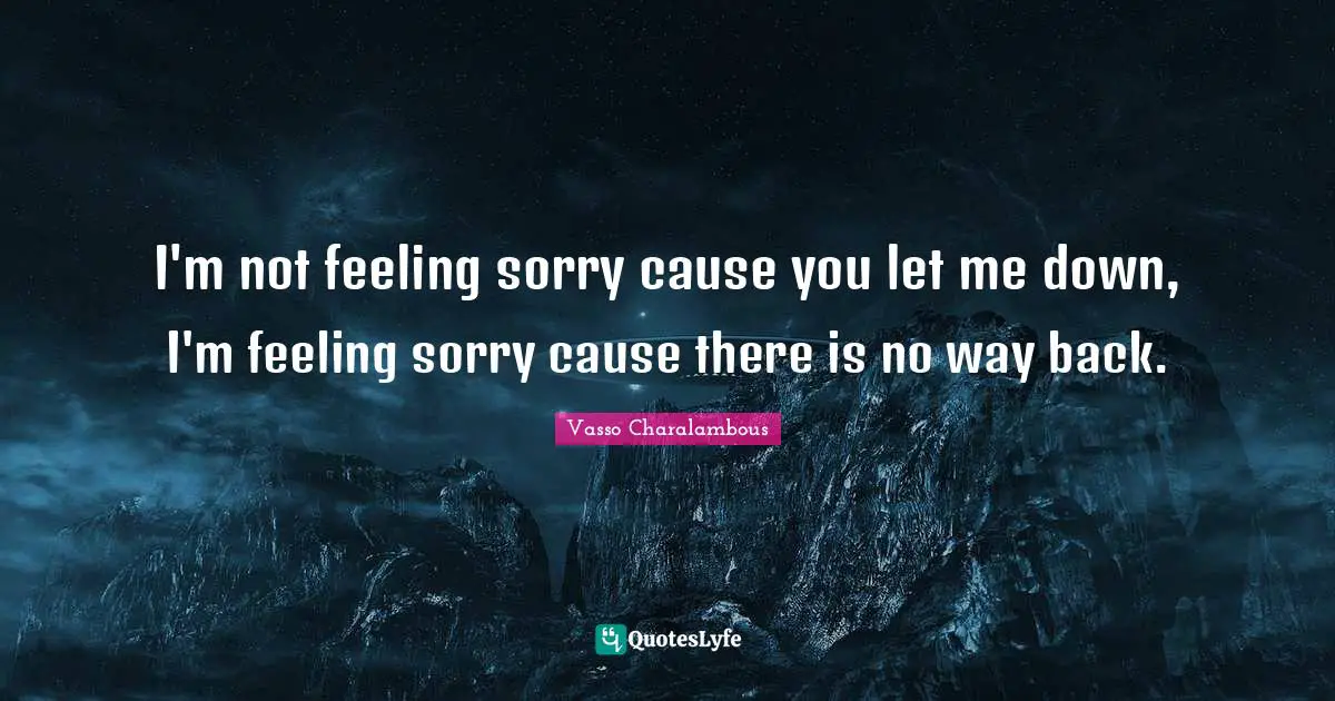 I'm not feeling sorry cause you let me down, I'm feeling sorry cause there is no way back.