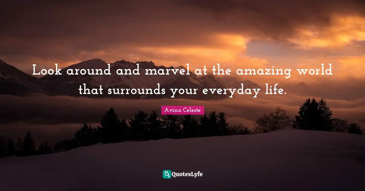 Look around and marvel at the amazing world that surrounds your everyday life.