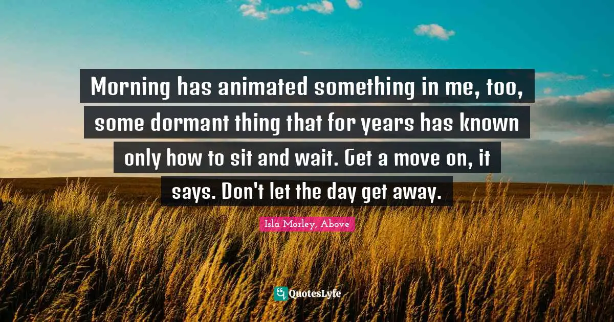 Morning has animated something in me, too, some dormant thing that for years has known only how to sit and wait. Get a move on, it says. Don't let the day get away.
