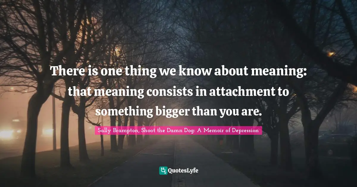 There is one thing we know about meaning: that meaning consists in attachment to something bigger than you are.