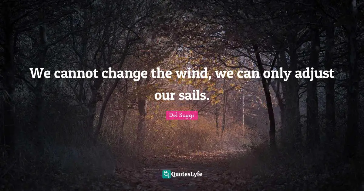 We cannot change the wind, we can only adjust our sails.