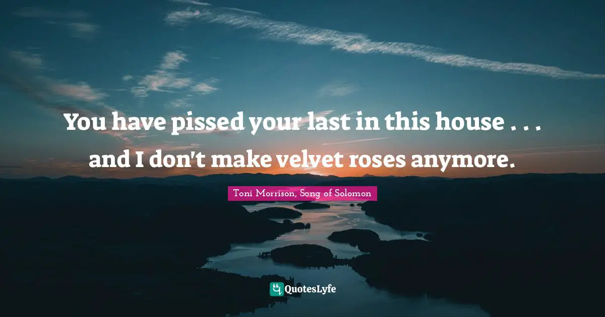 You have pissed your last in this house . . . and I don't make velvet roses anymore.