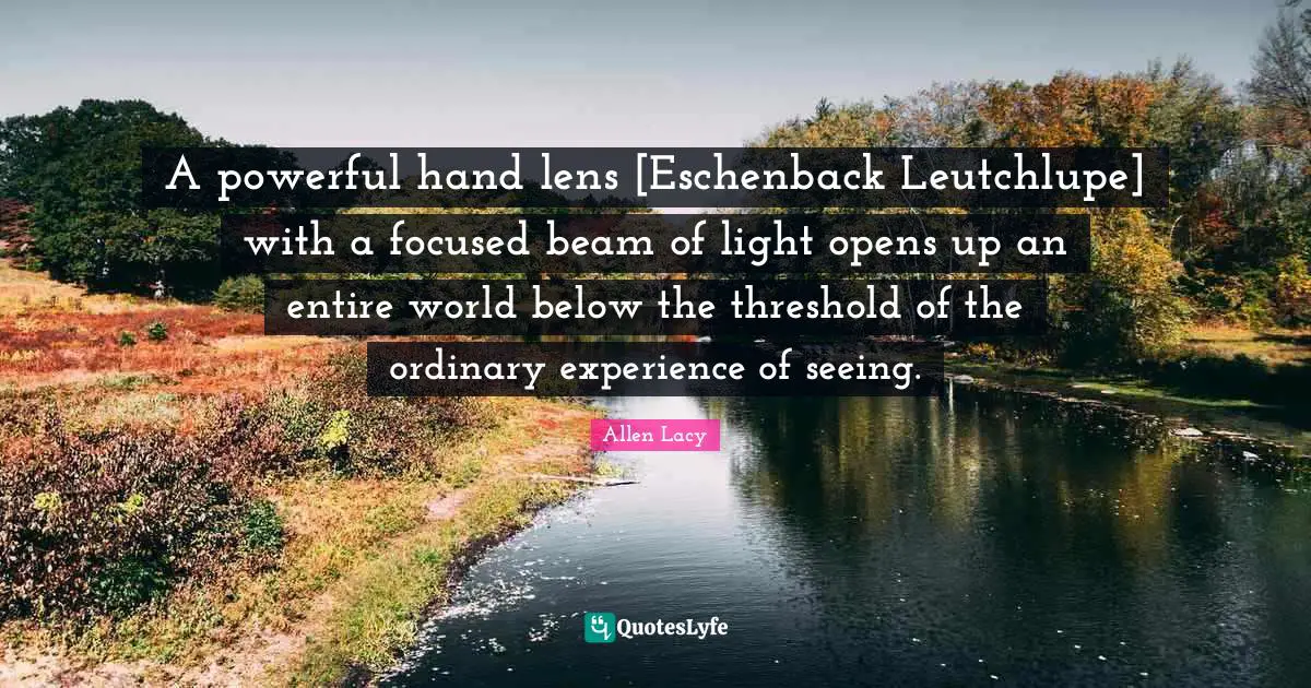 A powerful hand lens [Eschenback Leutchlupe] with a focused beam of light opens up an entire world below the threshold of the ordinary experience of seeing.