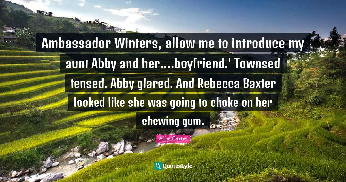 Ambassador Winters, allow me to introduce my aunt Abby and her....boyfriend.' Townsed tensed. Abby glared. And Rebecca Baxter looked like she was going to choke on her chewing gum.
