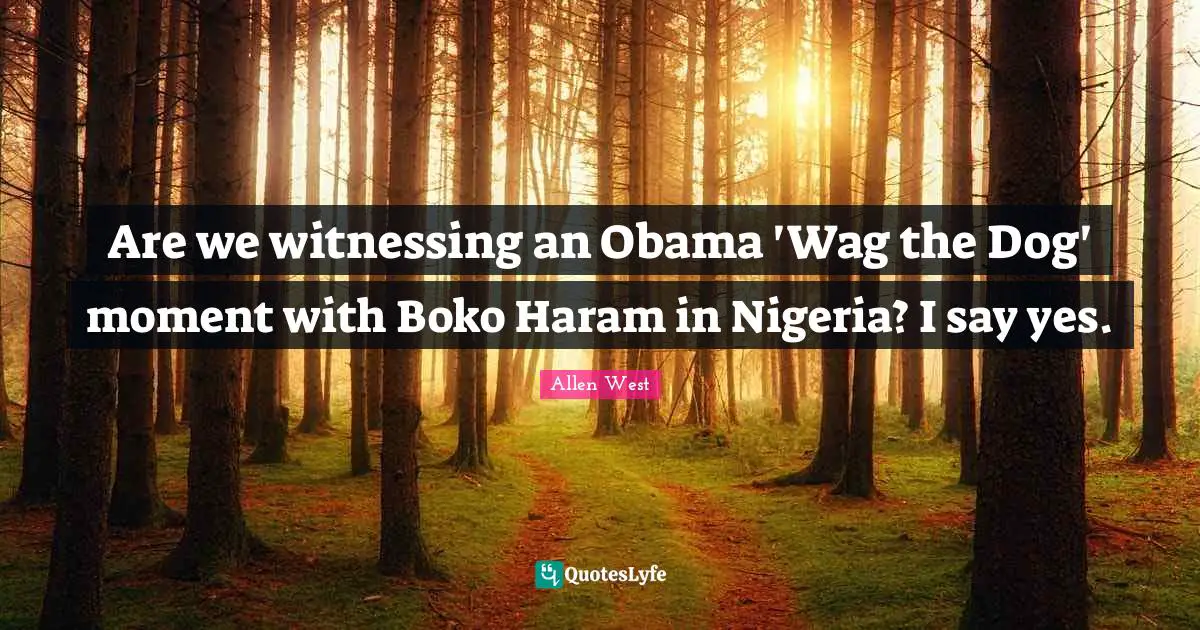 Are we witnessing an Obama 'Wag the Dog' moment with Boko Haram in Nigeria? I say yes.