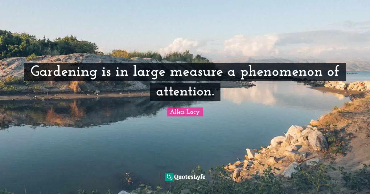 Gardening is in large measure a phenomenon of attention.
