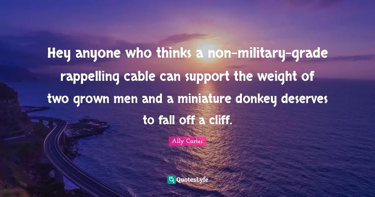 Hey anyone who thinks a non-military–grade rappelling cable can support the weight of two grown men and a miniature donkey deserves to fall off a cliff.