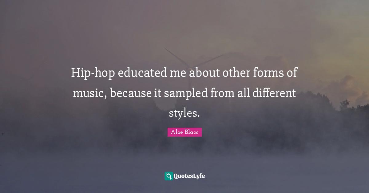 Educated Quotes: "Hip-hop educated me about other forms of music, because it sampled from all different styles."