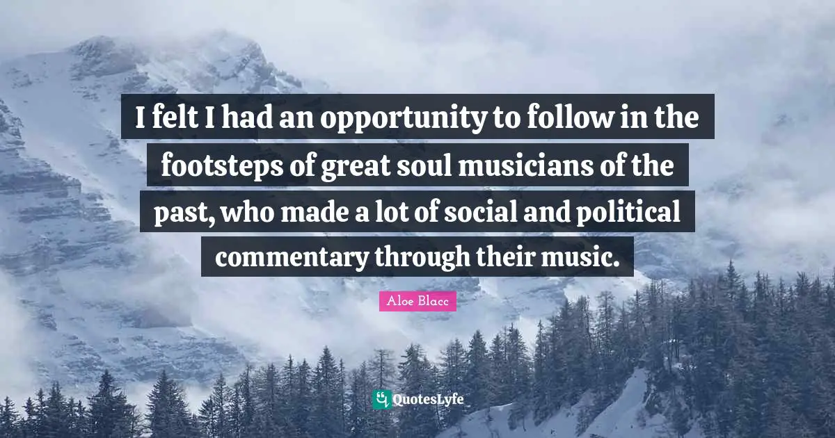I felt I had an opportunity to follow in the footsteps of great soul musicians of the past, who made a lot of social and political commentary through their music.