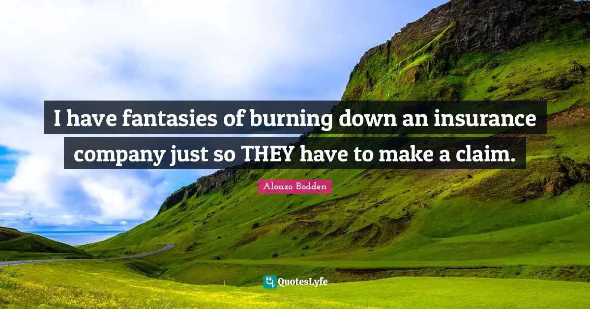 I have fantasies of burning down an insurance company just so THEY have to make a claim.