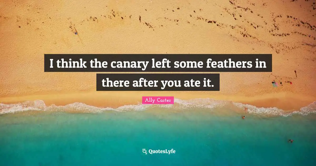 I think the canary left some feathers in there after you ate it.