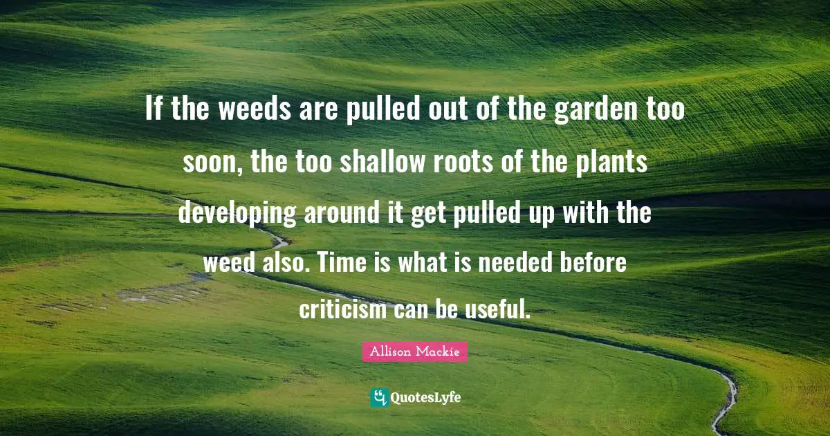 If the weeds are pulled out of the garden too soon, the too shallow roots of the plants developing around it get pulled up with the weed also. Time is what is needed before criticism can be useful.