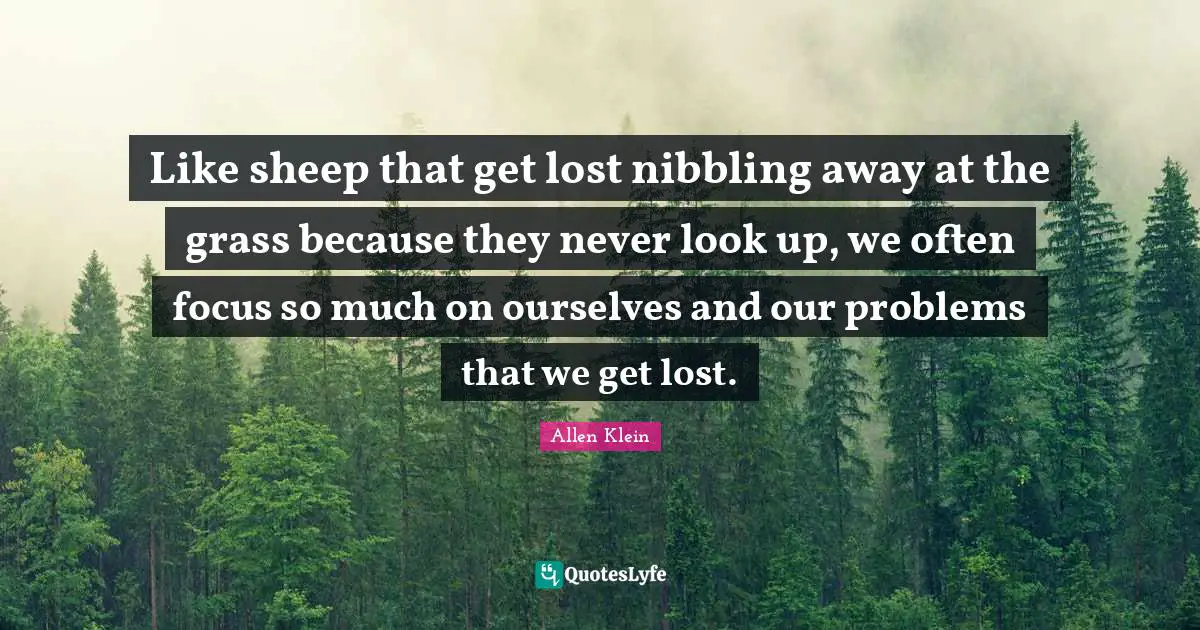 Like sheep that get lost nibbling away at the grass because they never look up, we often focus so much on ourselves and our problems that we get lost.