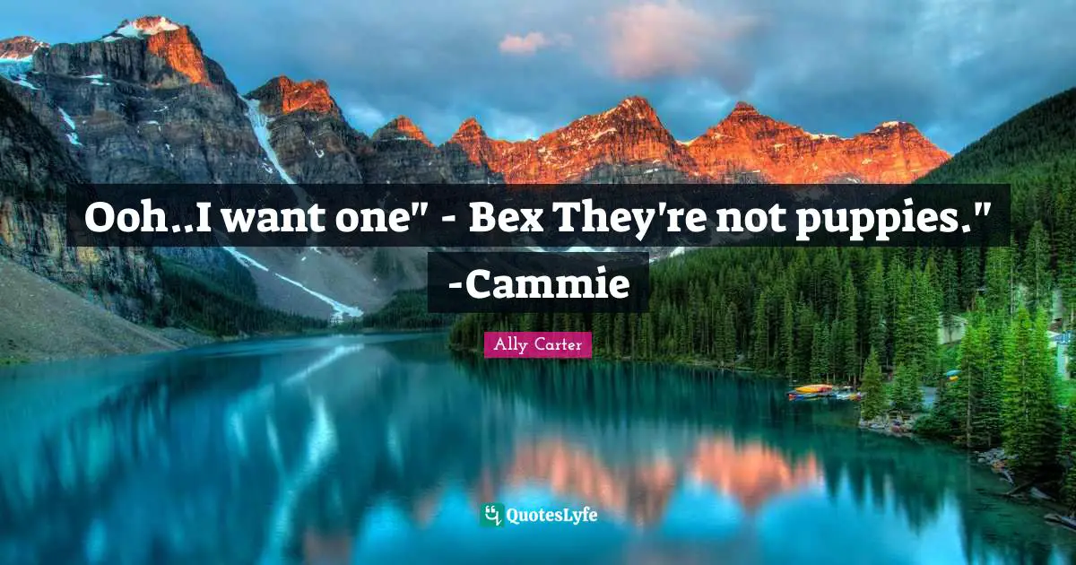 Ooh..I want one" - Bex They're not puppies." -Cammie