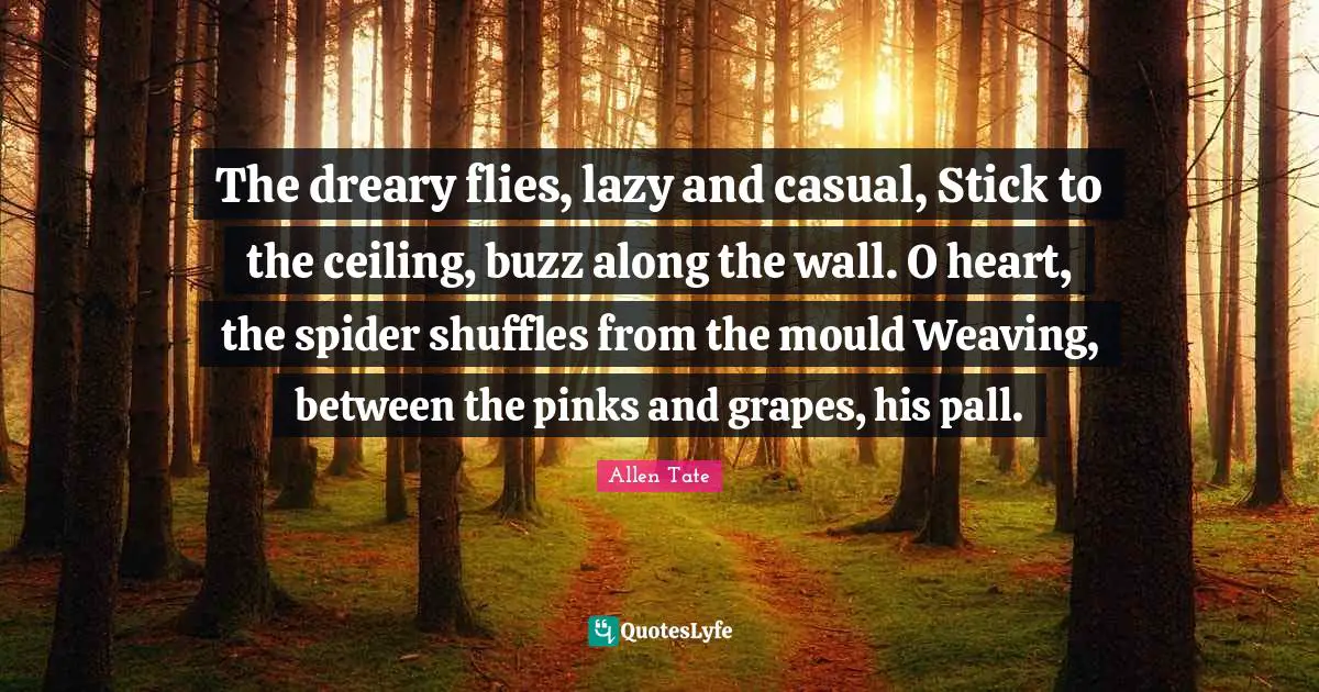The dreary flies, lazy and casual, Stick to the ceiling, buzz along the wall. O heart, the spider shuffles from the mould Weaving, between the pinks and grapes, his pall.