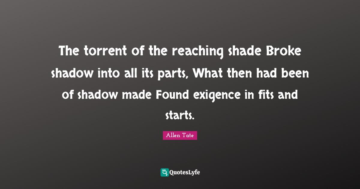 The torrent of the reaching shade Broke shadow into all its parts, What then had been of shadow made Found exigence in fits and starts.