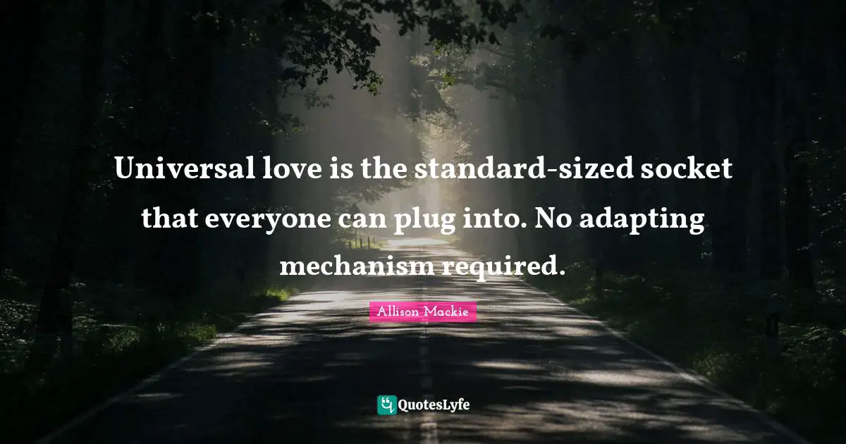 Universal love is the standard-sized socket that everyone can plug into. No adapting mechanism required.