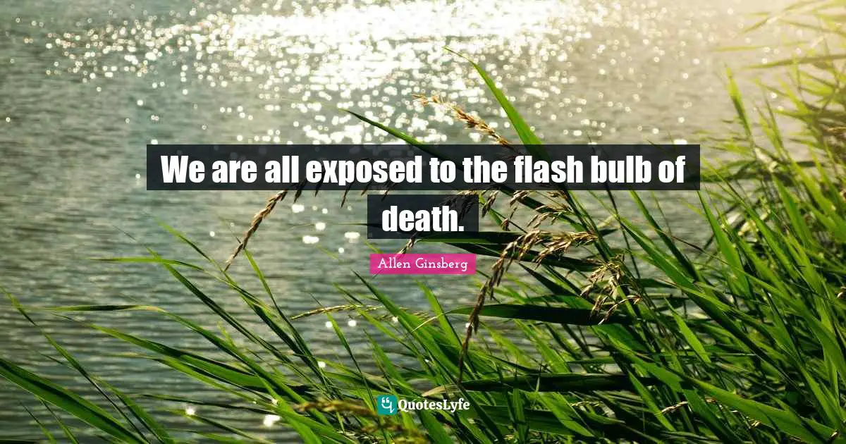 We are all exposed to the flash bulb of death.