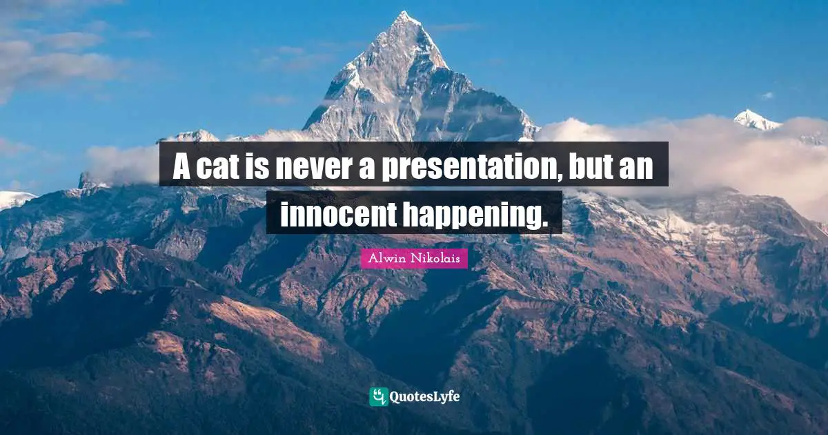 A cat is never a presentation, but an innocent happening.