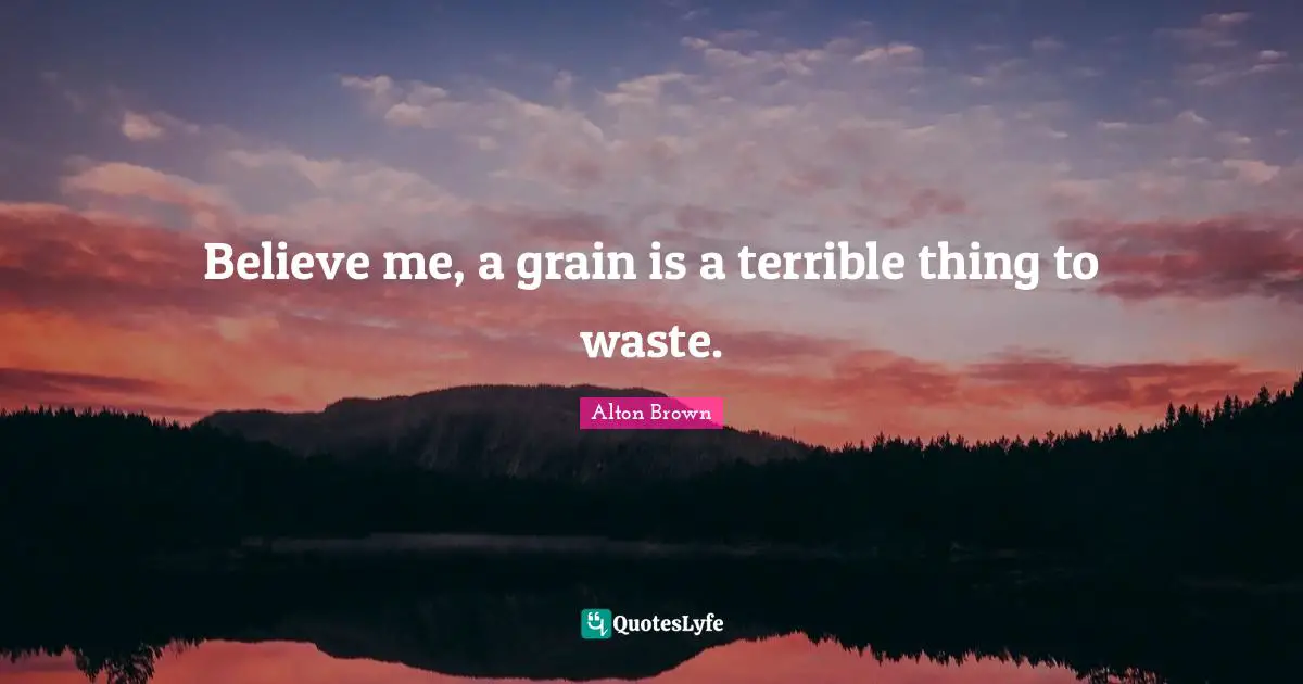 Alton Brown Quotes: "Believe me, a grain is a terrible thing to waste."