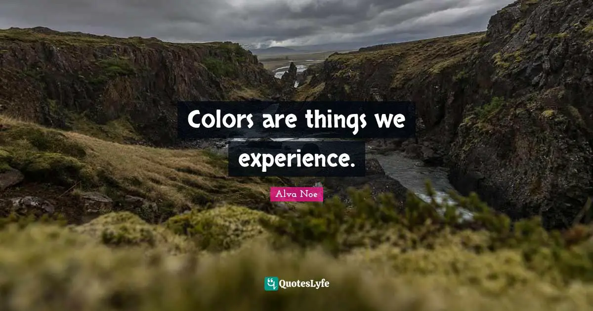 Colors are things we experience.