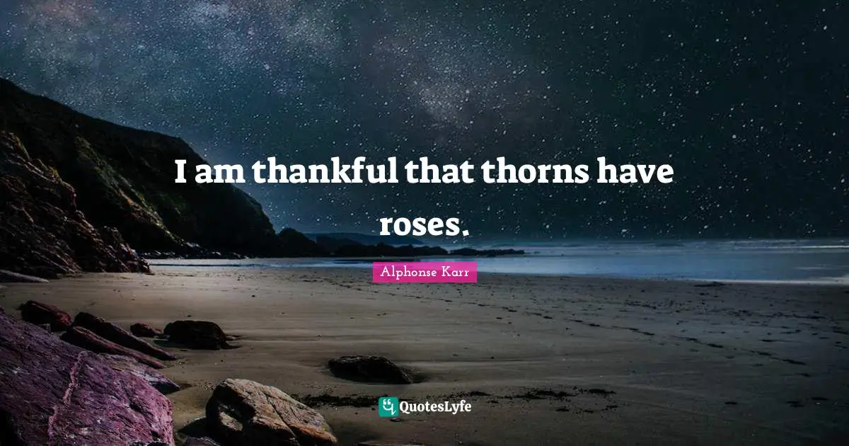 Thankful Quotes: "I am thankful that thorns have roses."
