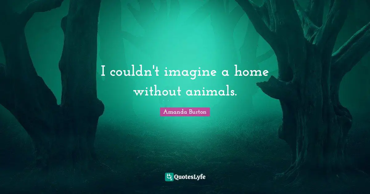 I couldn't imagine a home without animals.