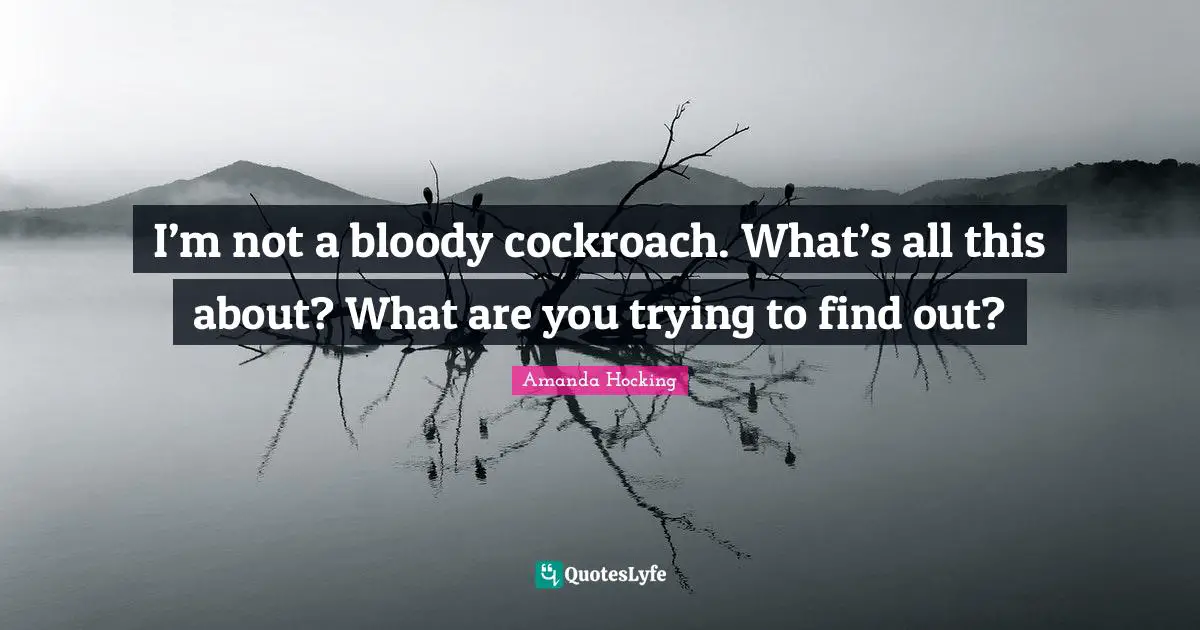 I’m not a bloody cockroach. What’s all this about? What are you trying to find out?