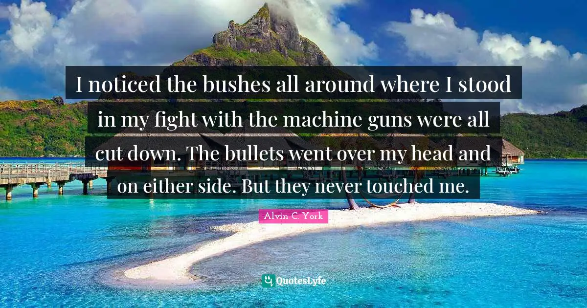 Alvin C. York Quotes: "I noticed the bushes all around where I stood in my fight with the machine guns were all cut down. The bullets went over my head and on either side. But they never touched me."