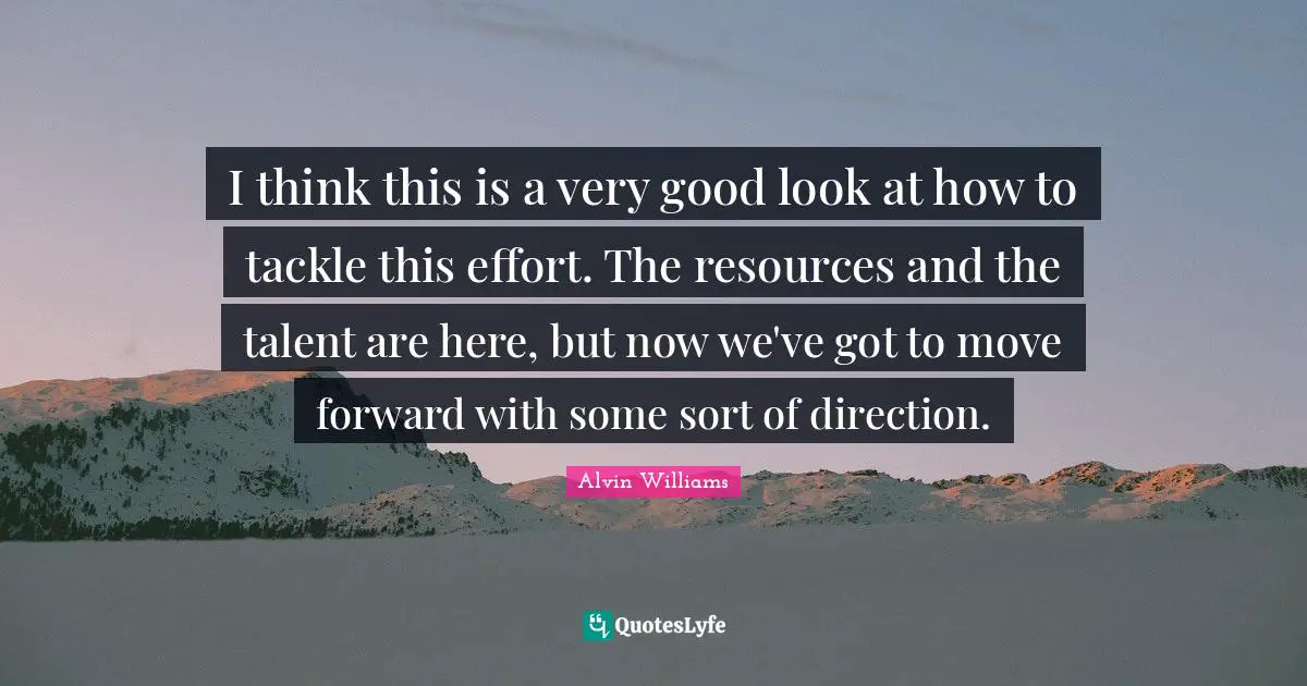 I think this is a very good look at how to tackle this effort. The resources and the talent are here, but now we've got to move forward with some sort of direction.