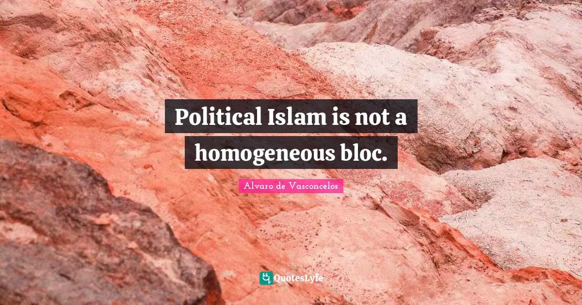 Homogeneous Quotes: "Political Islam is not a homogeneous bloc."