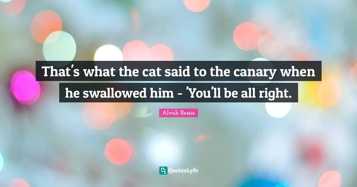 That's what the cat said to the canary when he swallowed him - 'You'll be all right.