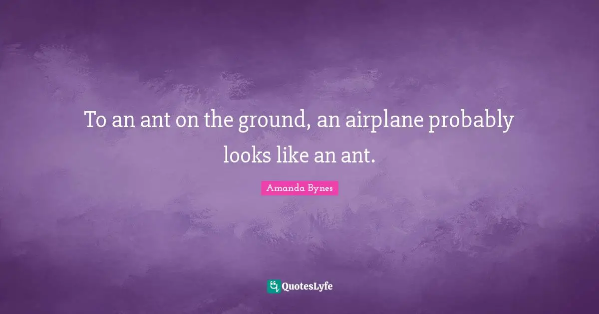 Amanda Bynes Quotes: "To an ant on the ground, an airplane probably looks like an ant."