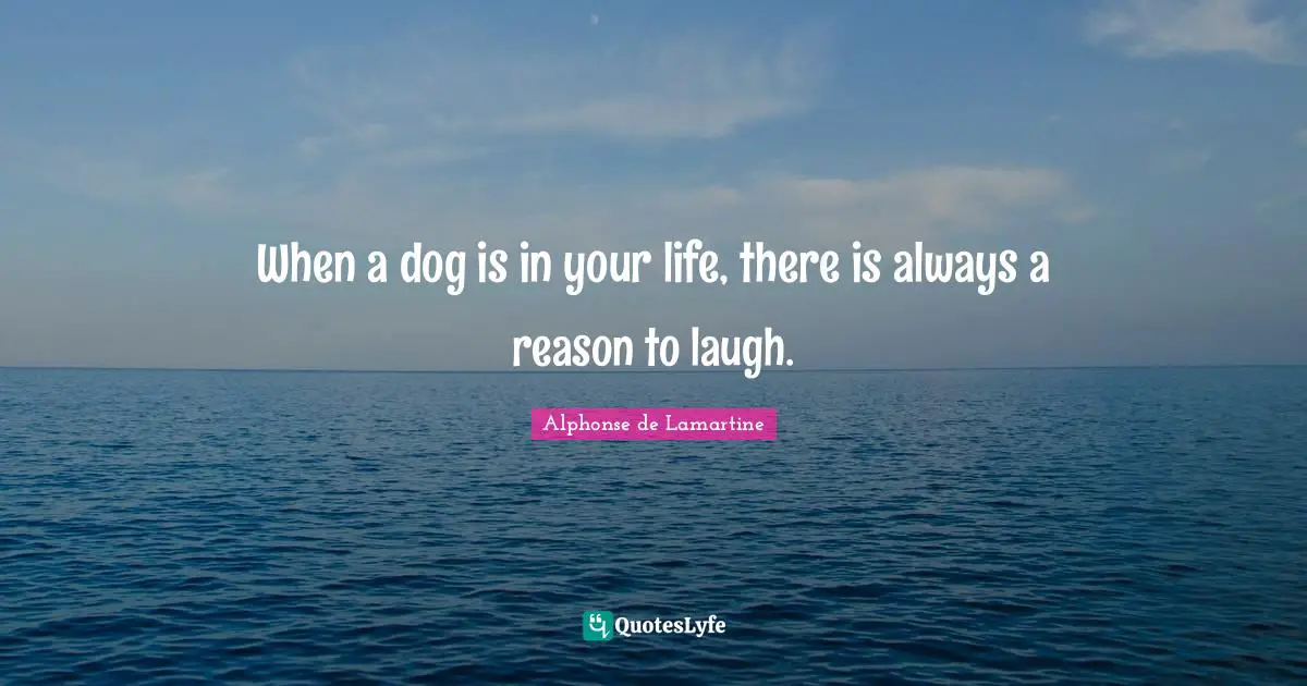 When a dog is in your life, there is always a reason to laugh.