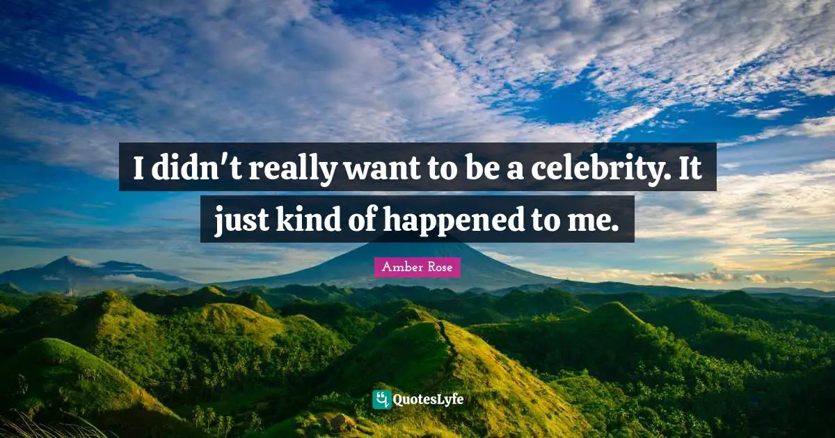 I didn't really want to be a celebrity. It just kind of happened to me.