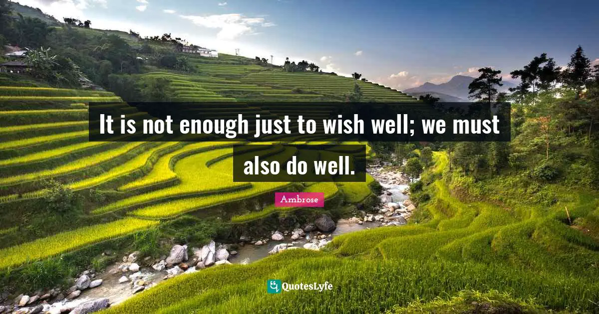 Moving Forward Quotes: "It is not enough just to wish well; we must also do well."