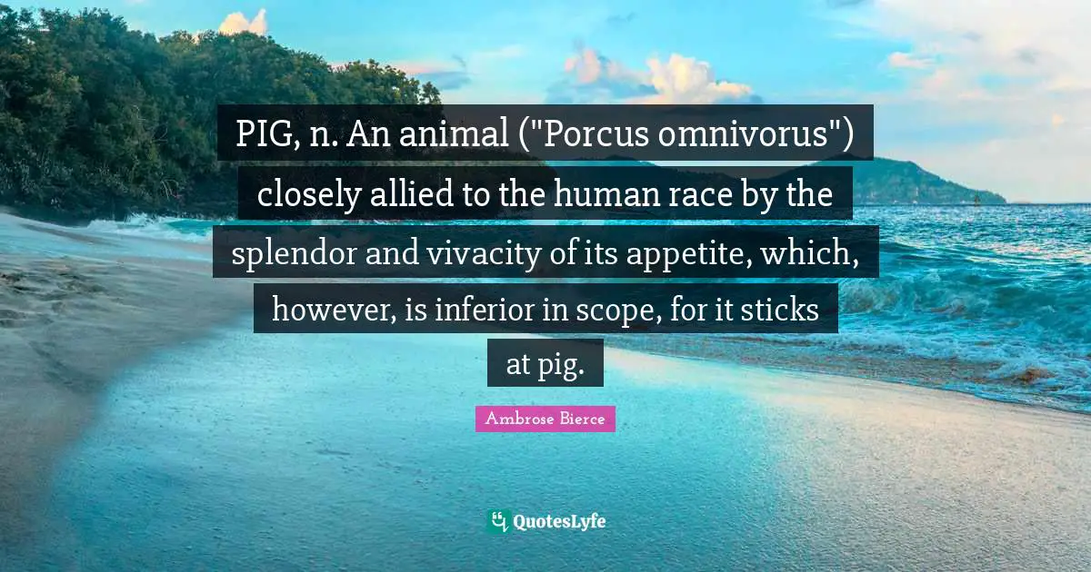 PIG, n. An animal ("Porcus omnivorus") closely allied to the human race by the splendor and vivacity of its appetite, which, however, is inferior in scope, for it sticks at pig.