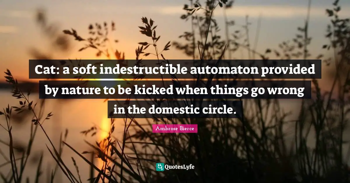 When Things Go Wrong Quotes: "Cat: a soft indestructible automaton provided by nature to be kicked when things go wrong in the domestic circle."