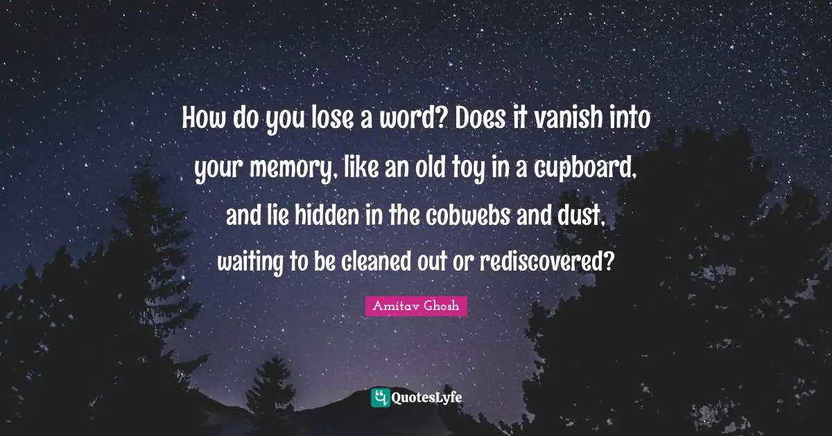 How do you lose a word? Does it vanish into your memory, like an old toy in a cupboard, and lie hidden in the cobwebs and dust, waiting to be cleaned out or rediscovered?