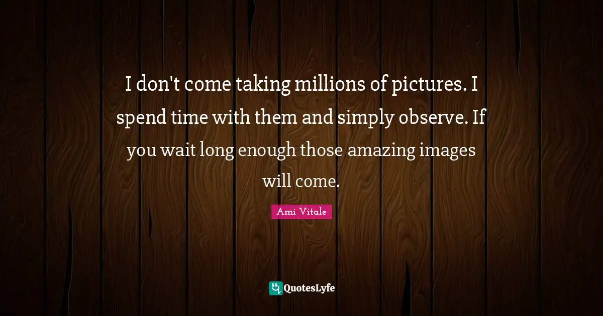 Spend Quotes: "I don't come taking millions of pictures. I spend time with them and simply observe. If you wait long enough those amazing images will come."