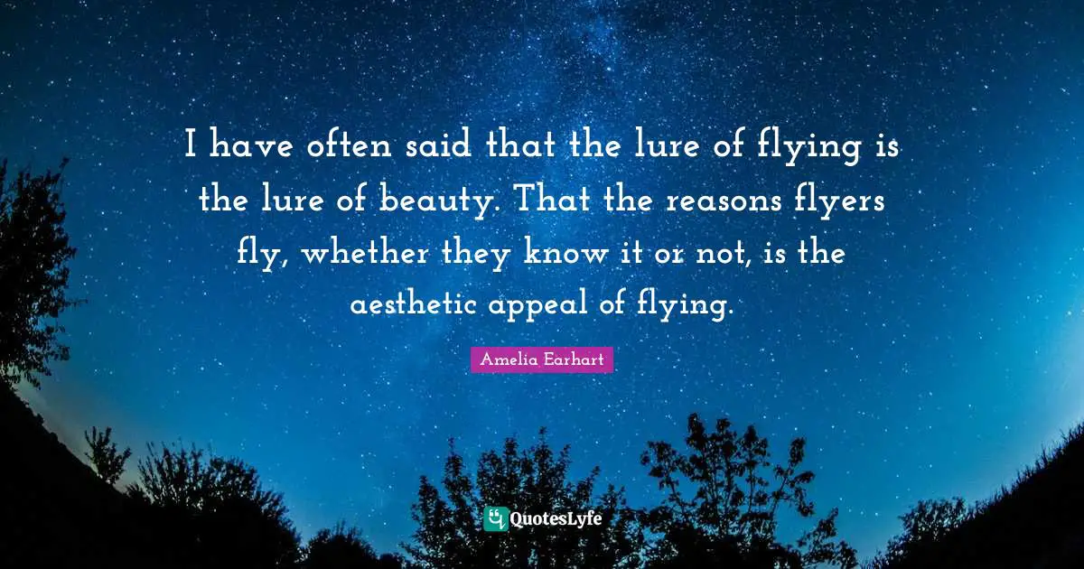 I have often said that the lure of flying is the lure of beauty. That the reasons flyers fly, whether they know it or not, is the aesthetic appeal of flying.
