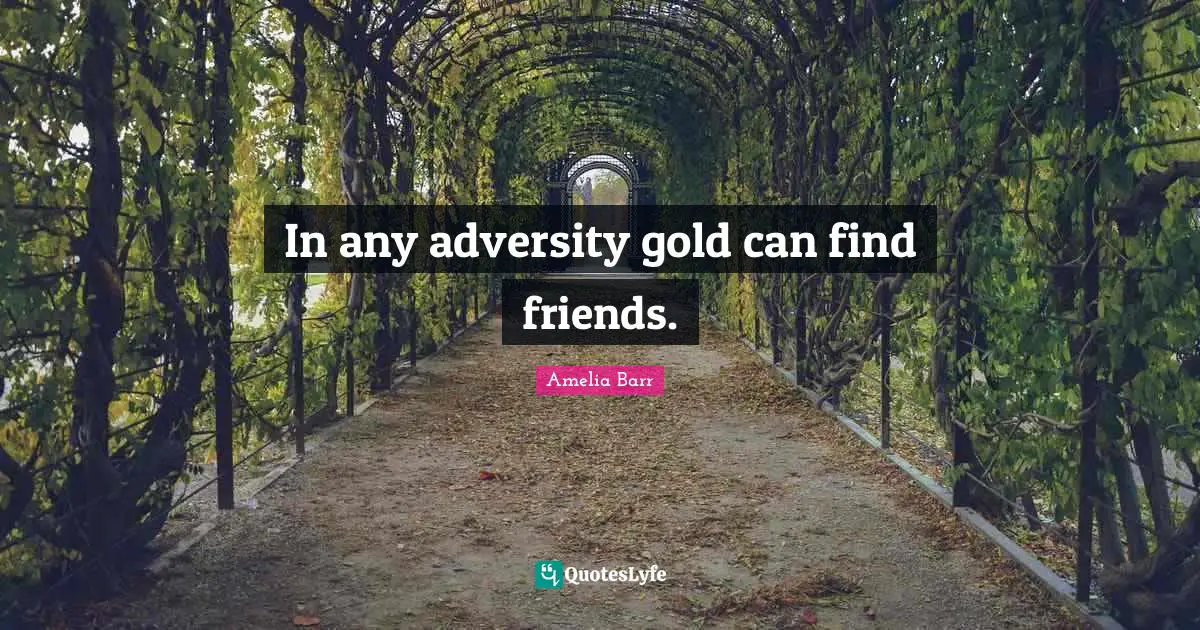 In any adversity gold can find friends.